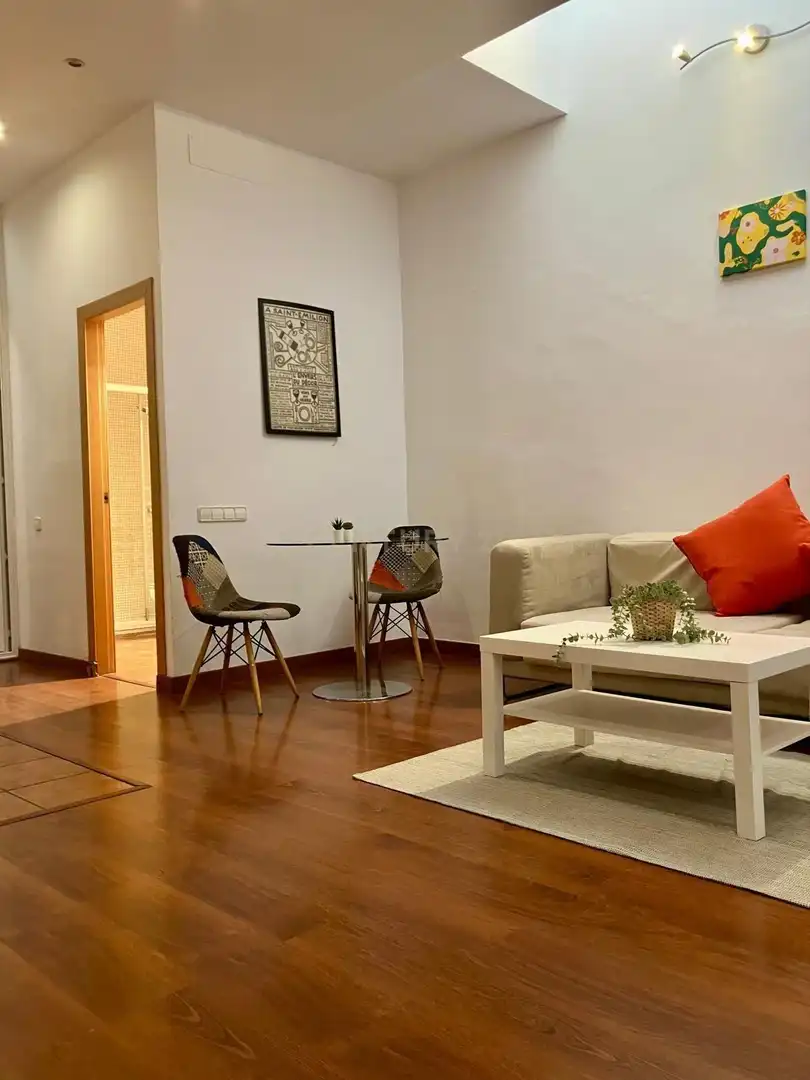 Sala d'estar de Apartament de lloguer en Barcelona amb Aire condicionat