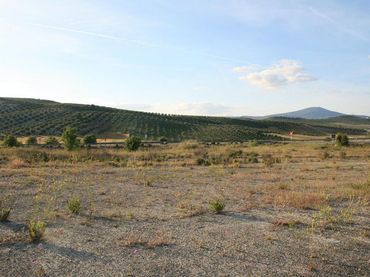 Terreno residenziale in vendita a Calle Carretera