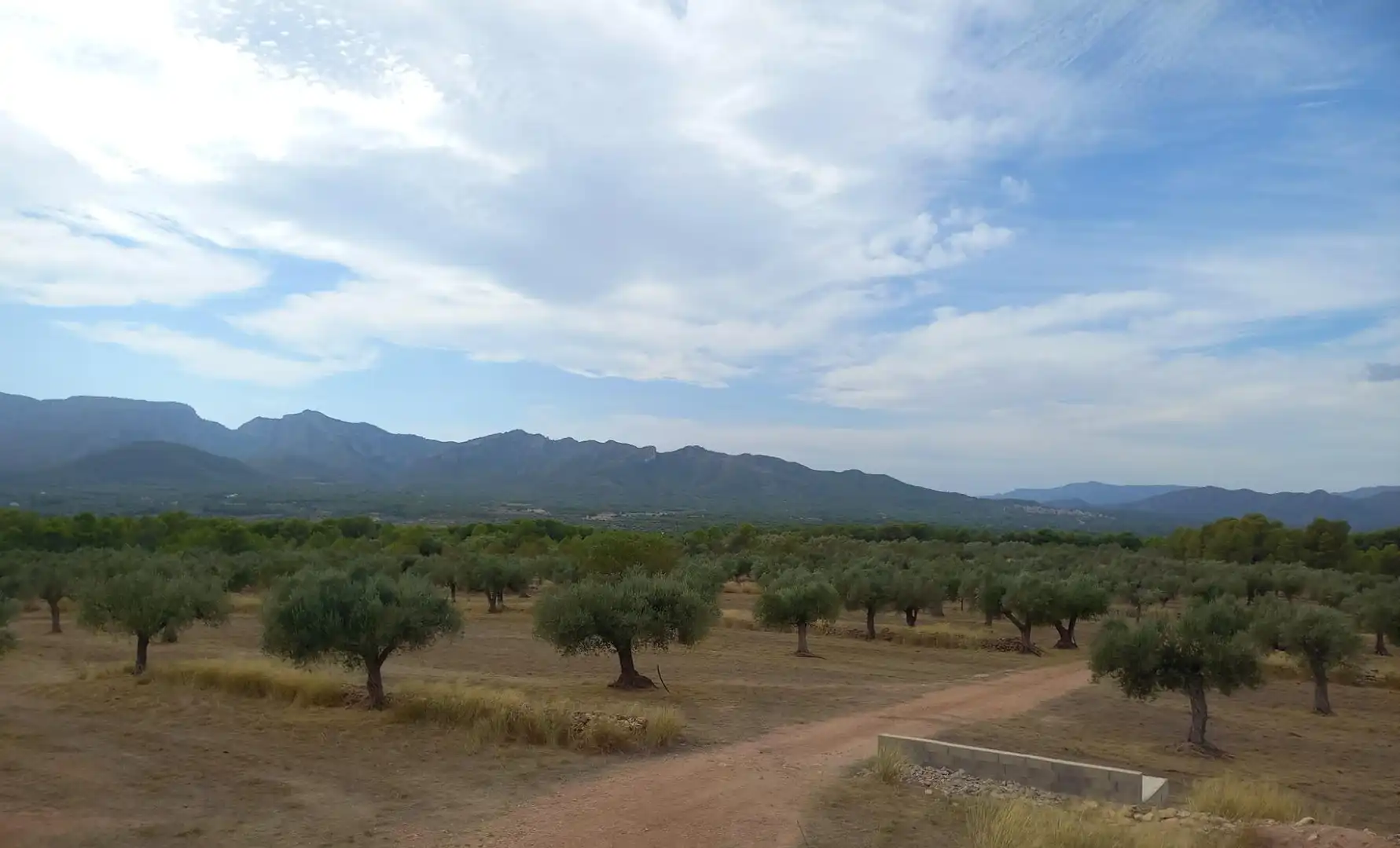Finca rústica en venta en Tivissa