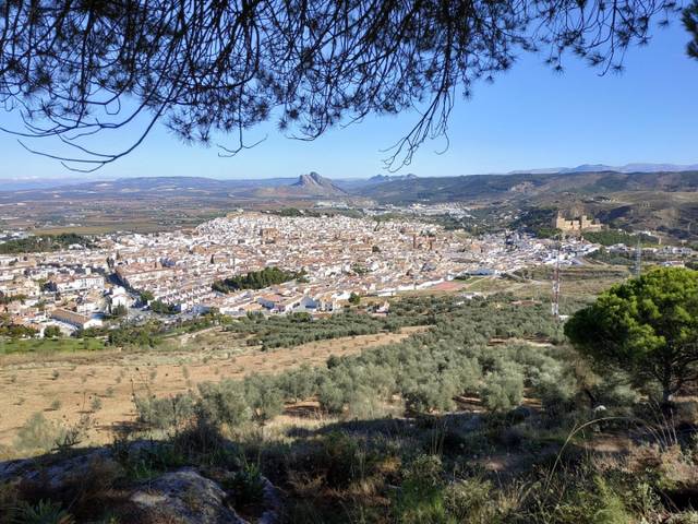 Terreno en Venta en Lugar Poligono 77, 5 en Bobadilla - Bobadilla Estación - La Joya