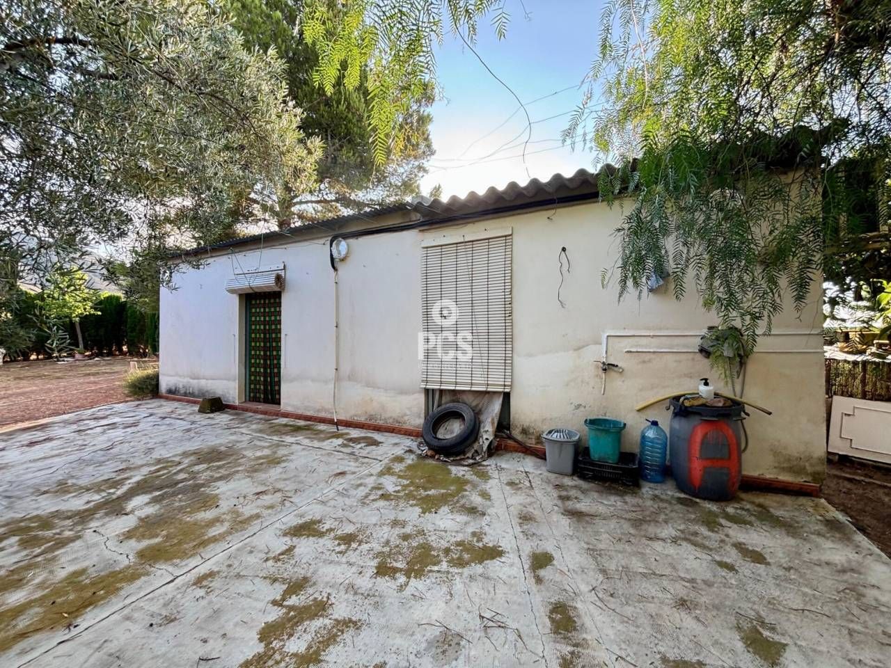 Exterior view of House or chalet for sale in Aledo  with Private garden