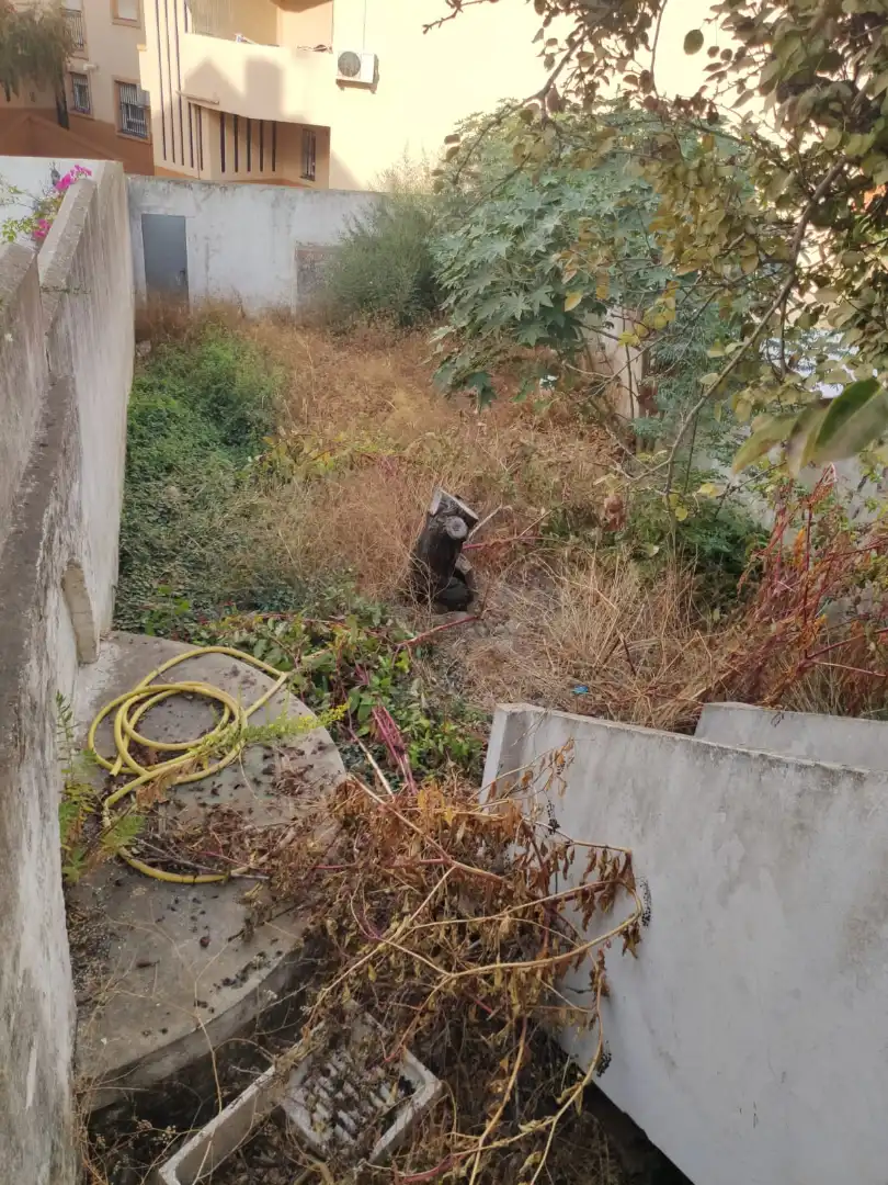 Jardín de Casa o chalet en venta en Los Barrios con Jardín privado y Amueblado