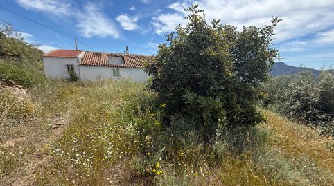 Foto 5 de Casa o xalet en venda a Calle Camino de Solano, Colmenar, Málaga