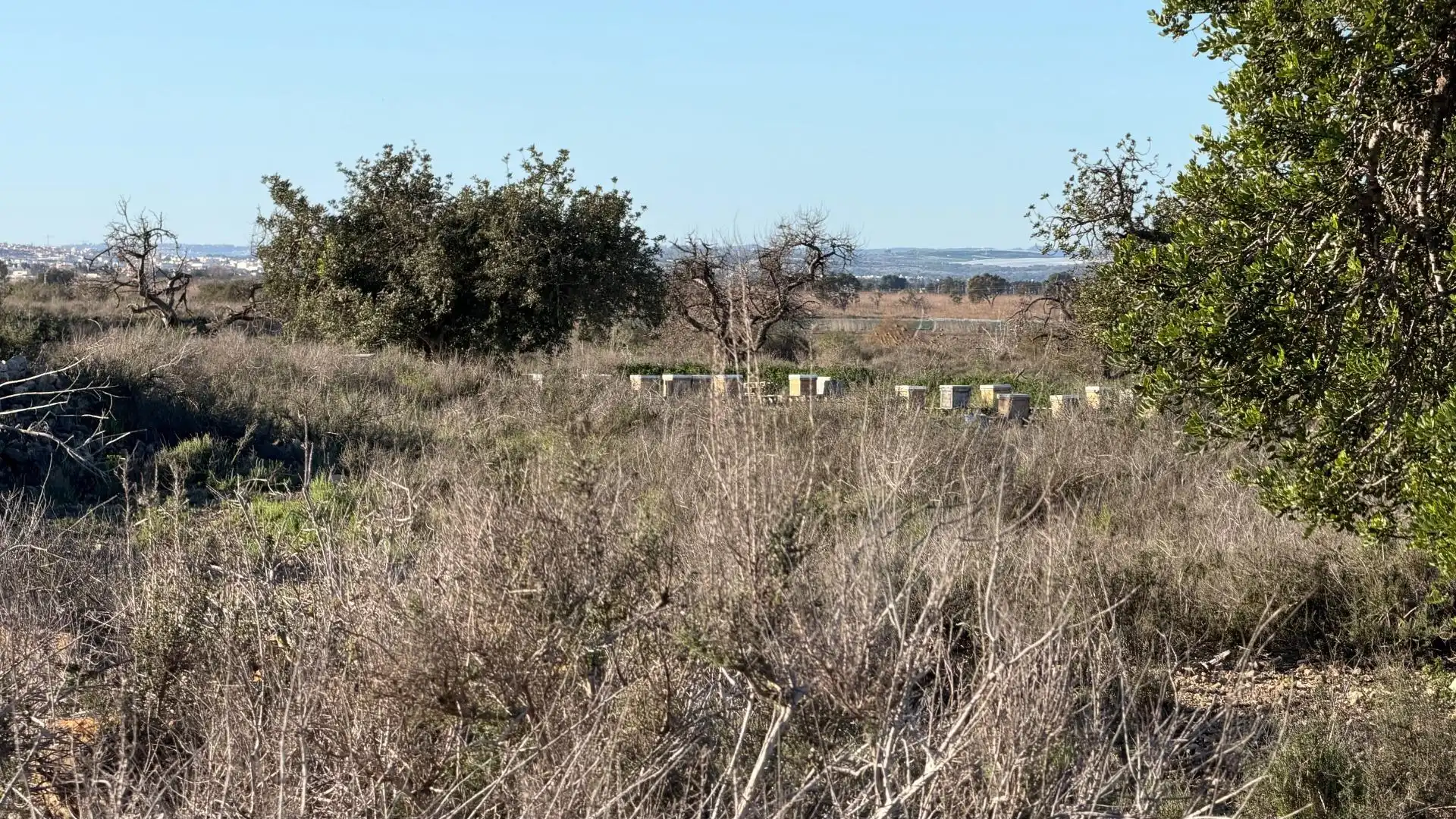 Terreno residencial en venta en La Marina, imagen 9