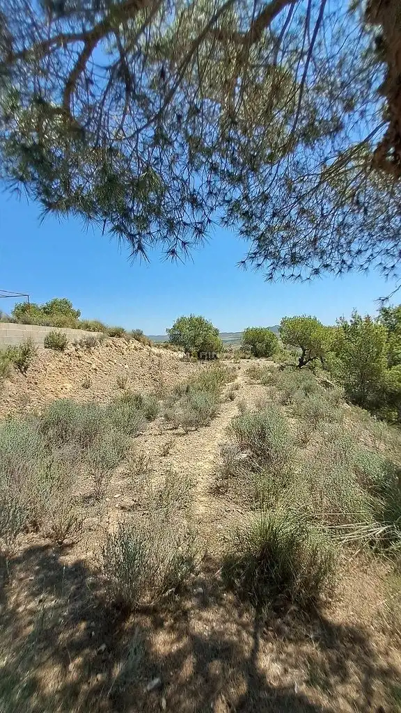 Terreno residenziale in vendita a Urbanización la Pinada, imagen 4