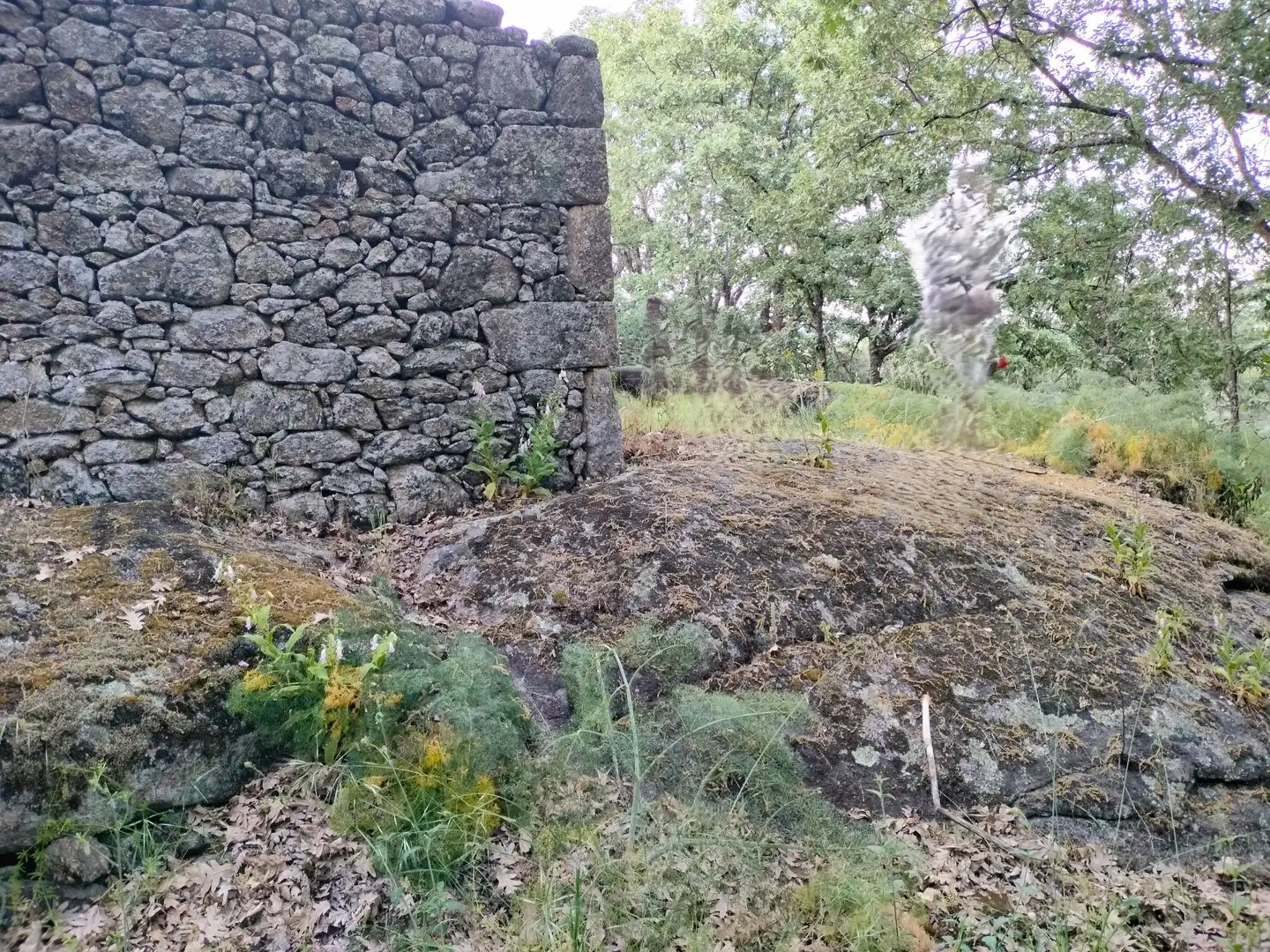 Terreni e lotti in vendita a Villanueva de la Vera, imagen 6
