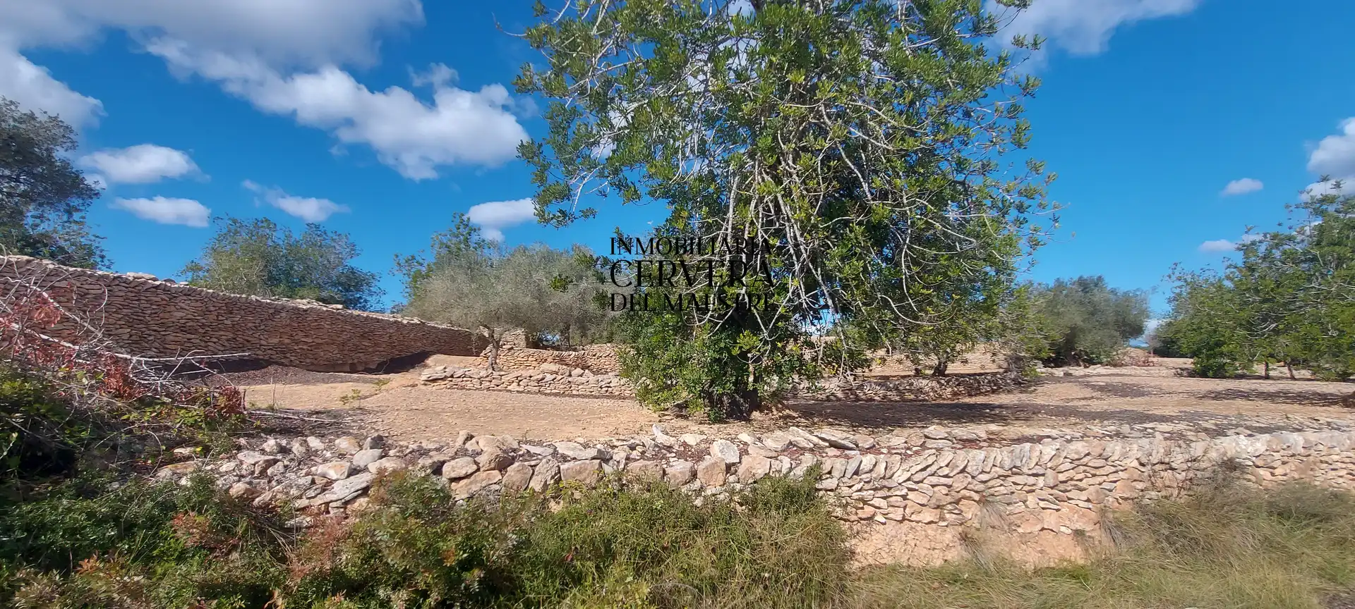 Terreno rustico in vendita a Partidas de interior - Zona Rústica, imagen 31