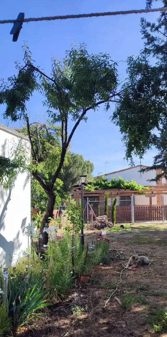 Casa rústica amb piscina en venda a Porzuna, imagen 17