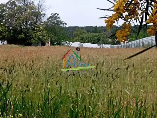 Finca rústica en venta en Almonte