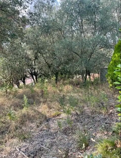 Terreno en Taradell La Roca, imatge 3