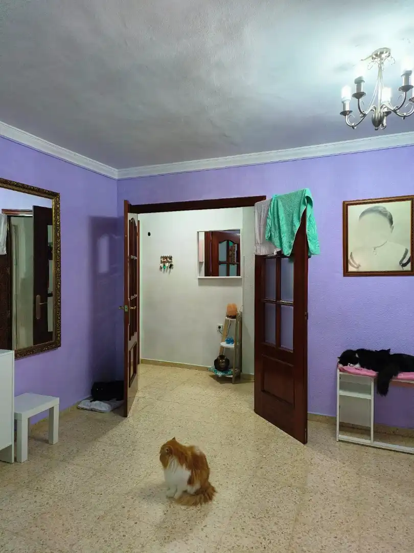 Piso en venta en Alcalá del Río