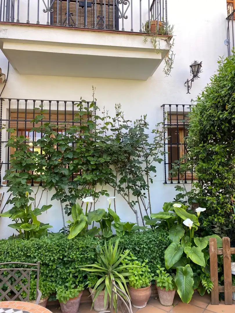 Flat for rent in Calle Calle Charca, Barrio de Albaicín