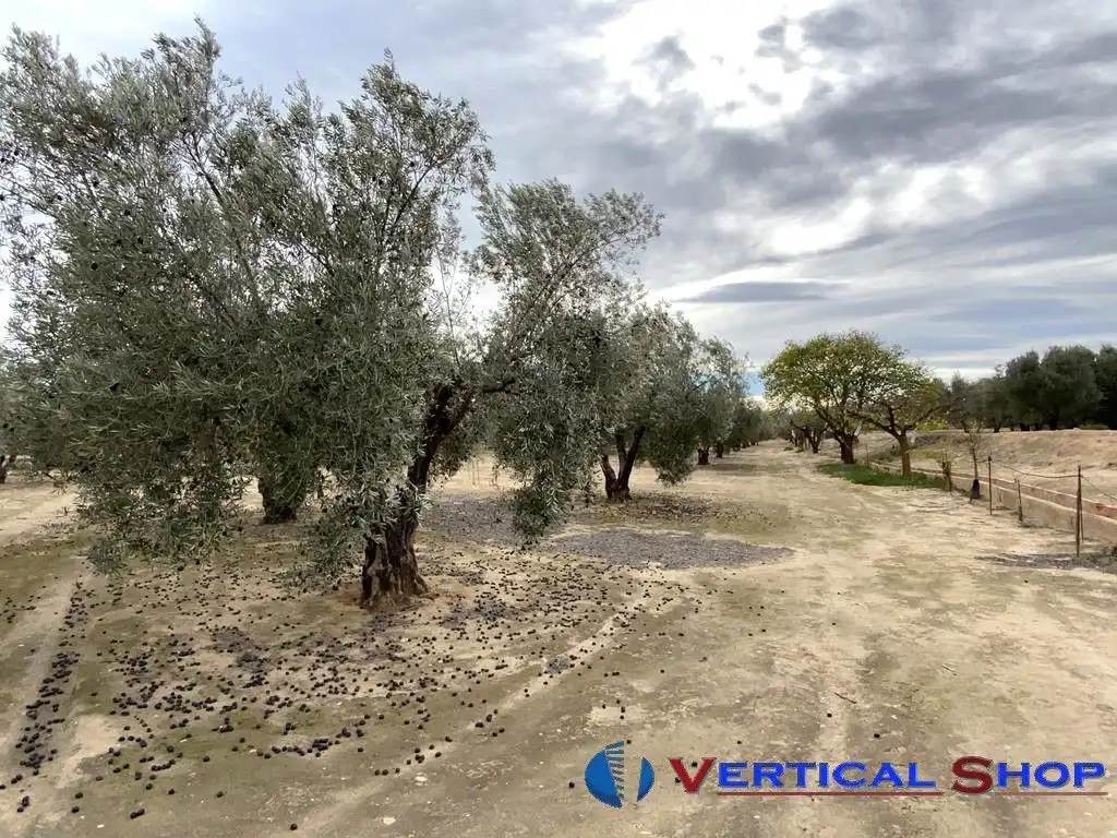 Casa o chalet en venta en Caudete