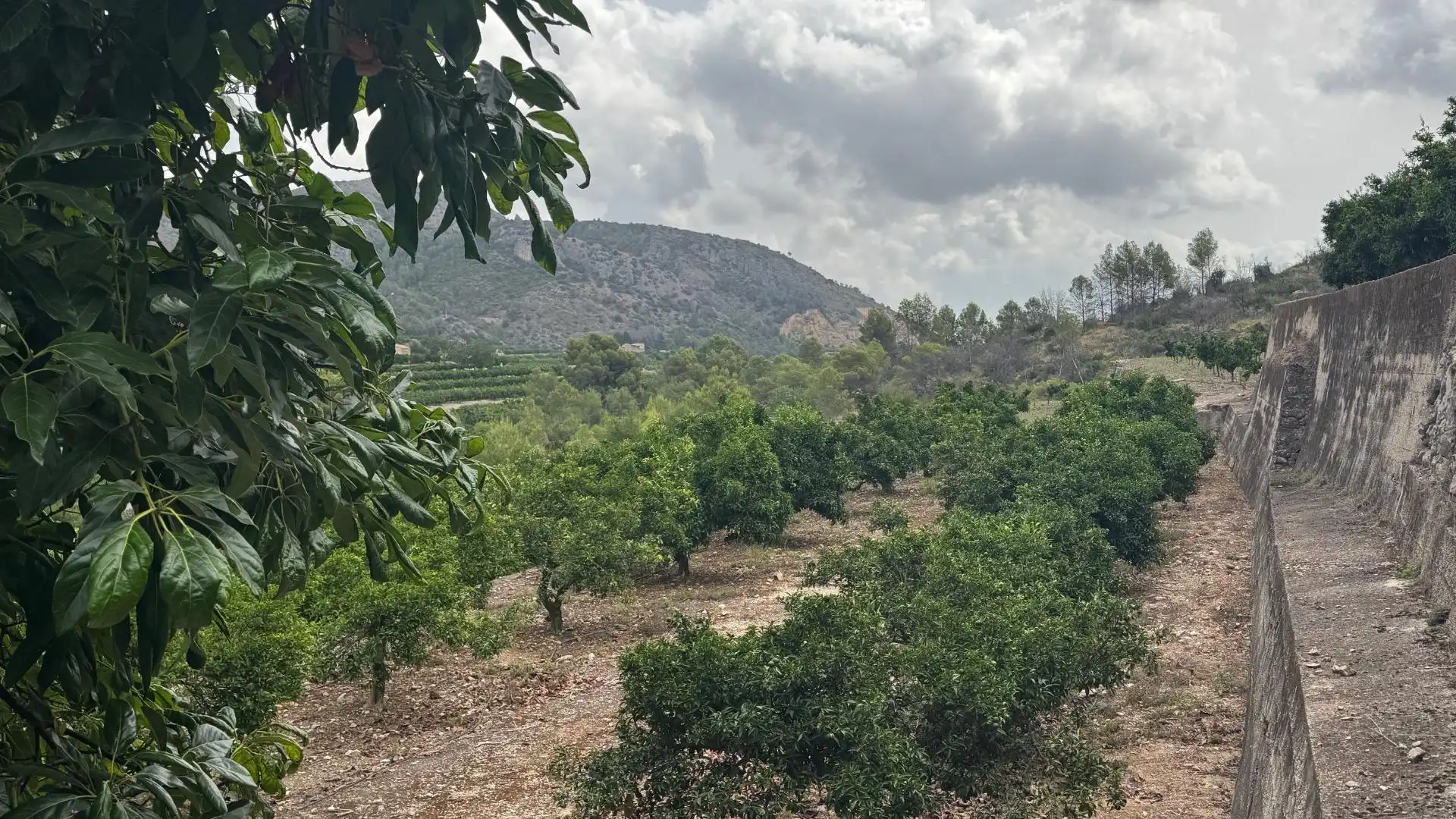 Residencial en venta en L'Atzúbia
