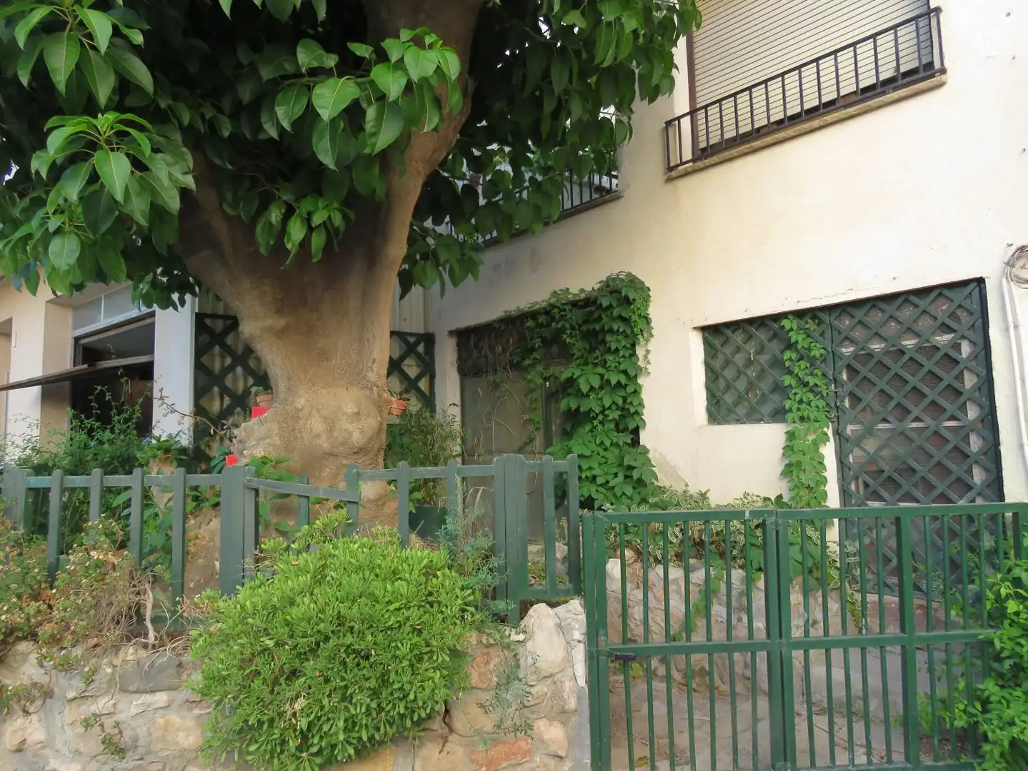 Exterior view of Houses for sale in Alcover  with Heating, Private garden and Terrace