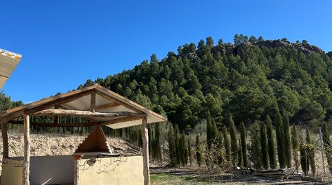 Parcelas rústicas en Vélez Rubio (Almería), imagen 2