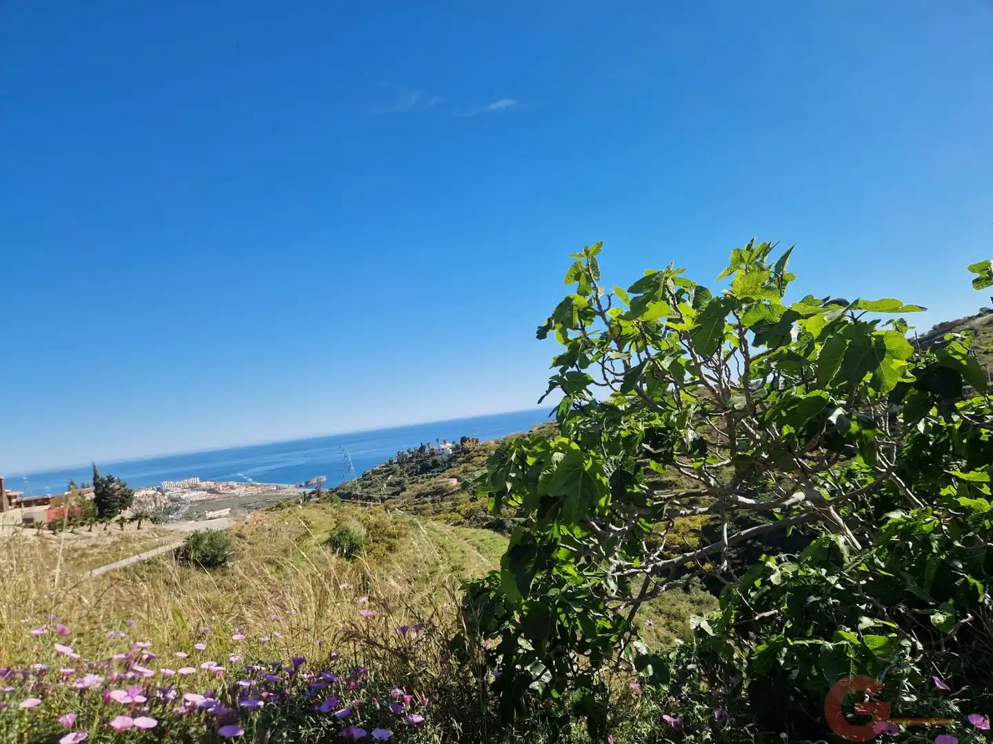 Terrenys i solars en venda a Monte los Almendros - El Pargo - Costa Aguilera, imagen 17