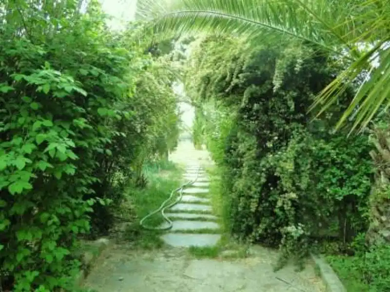 Jardí de Casa o xalet en venda en Fondón amb Aire condicionat i Calefacció