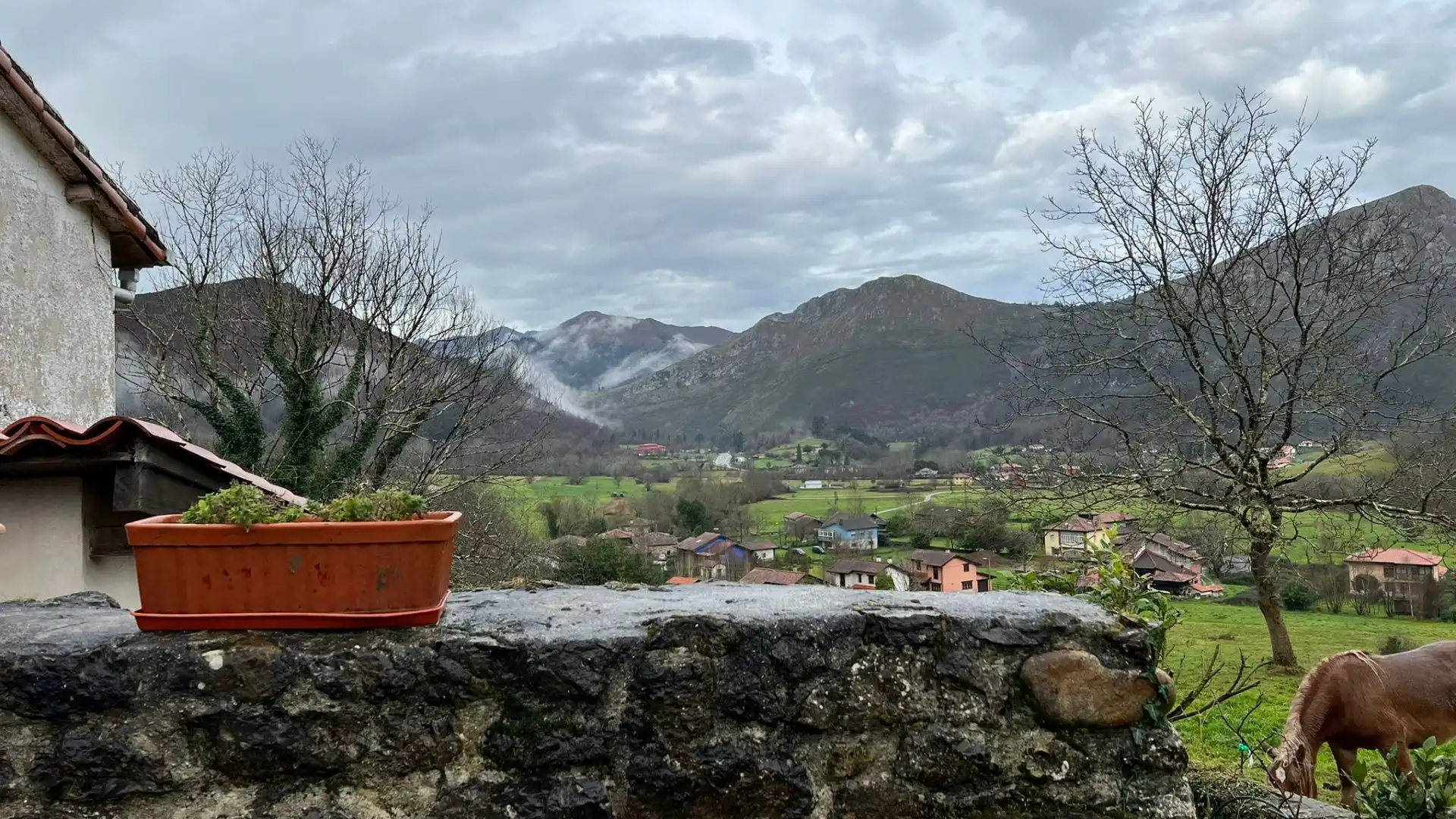 Terrace of Houses for sale in Cangas de Onís  with Private garden