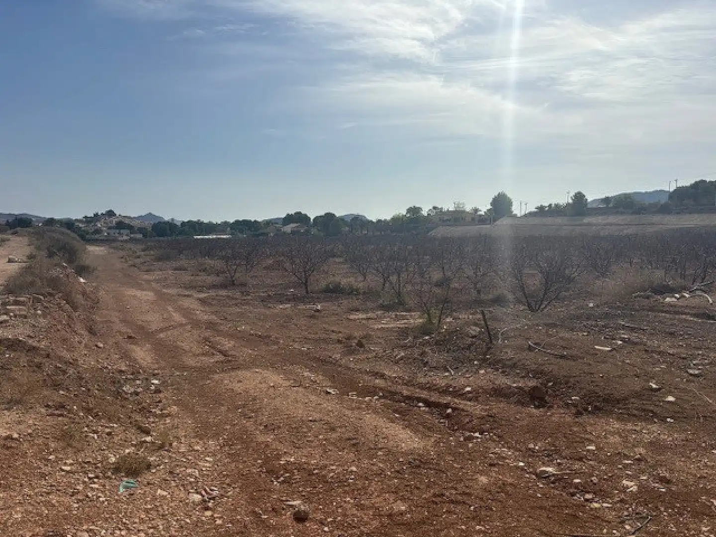 Residential land for sale in Monóvar  / Monòver, imagen 7