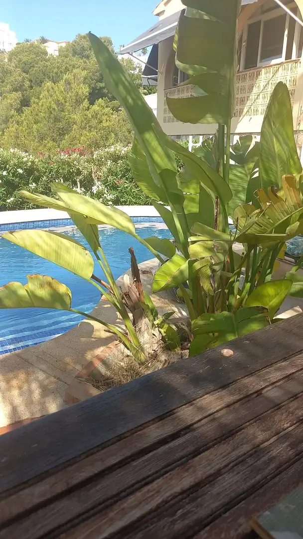 Casa amb piscina en venda a Coloma, imagen 11
