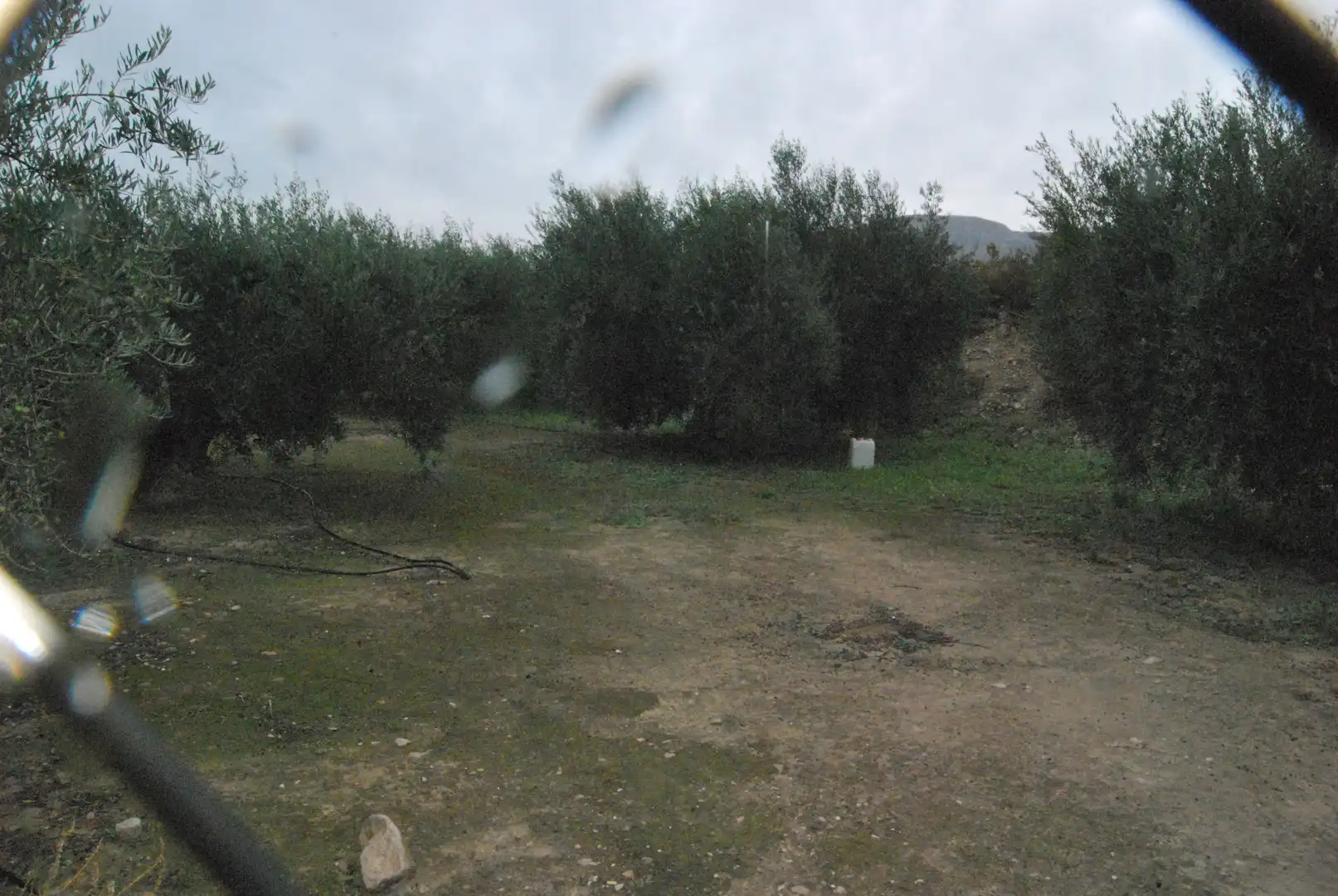 Terrain rustique à vendre à Agost, imagen 5