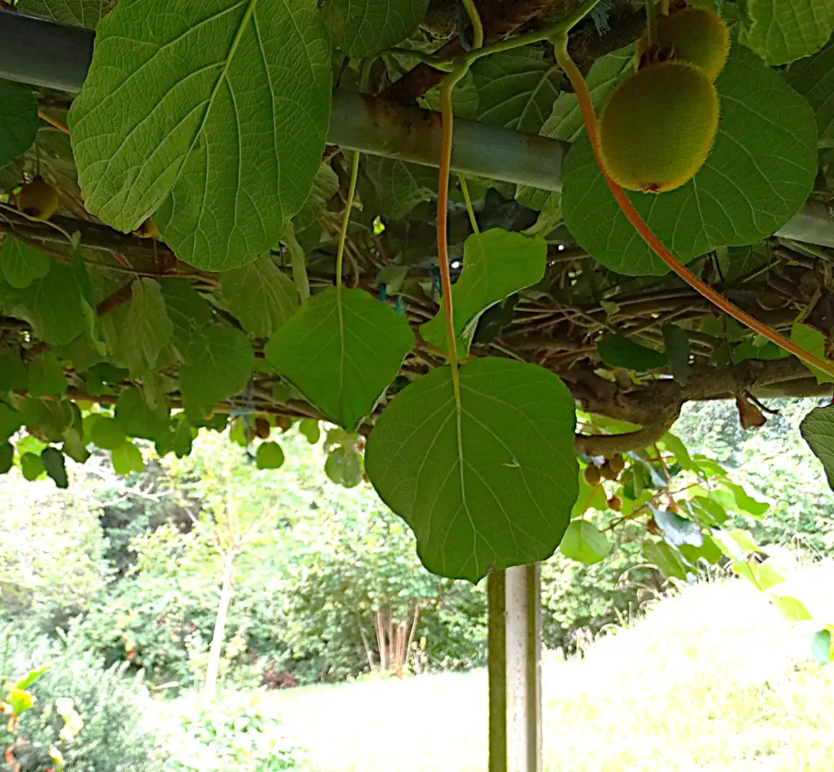 Jardí de Finca rústica en venda en Narón amb Calefacció, Jardí privat i Parquet