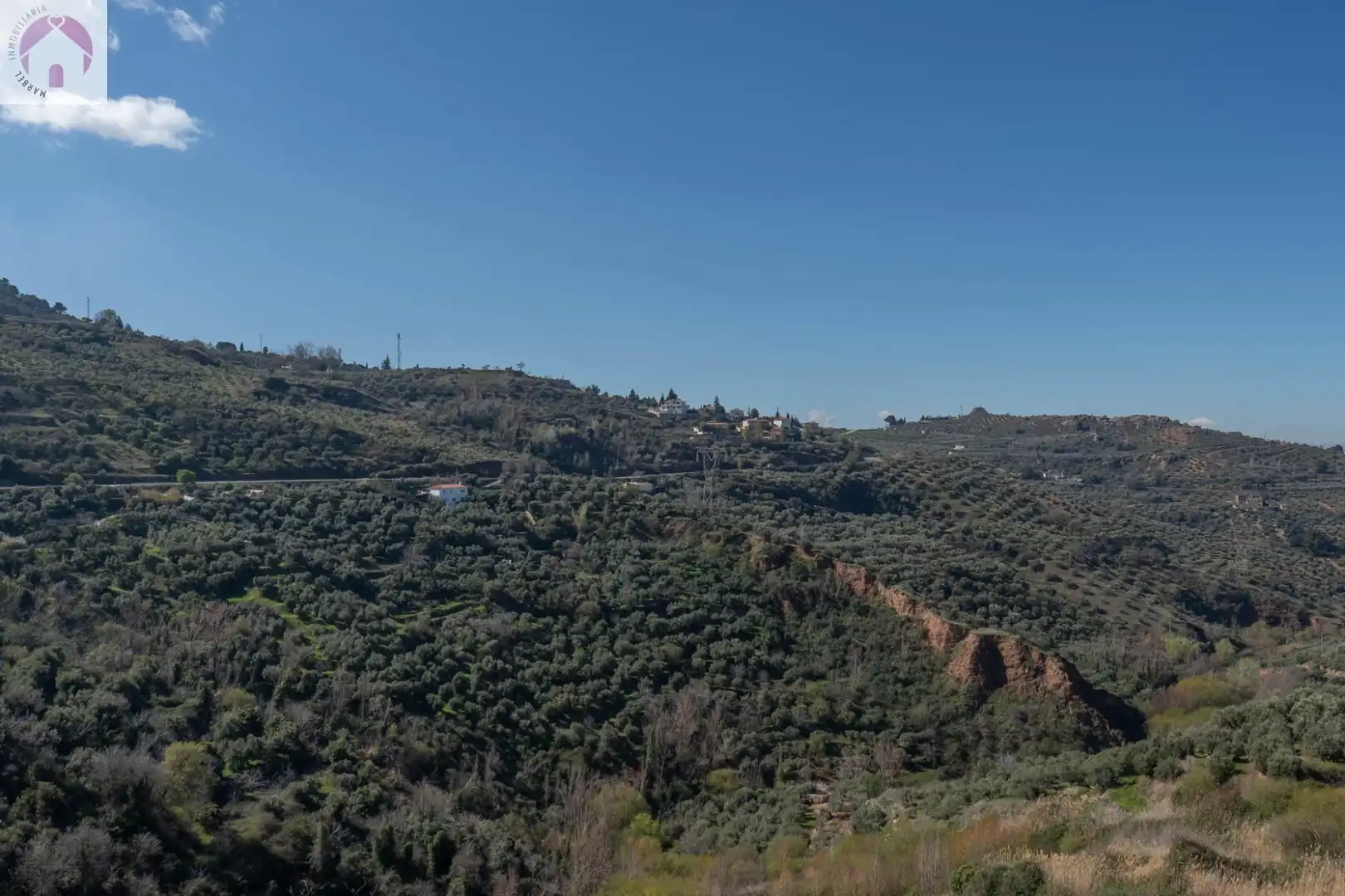 Terreni e lotti in vendita a Cogollos de la Vega, imagen 22