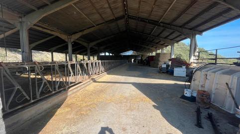 Foto 3 de Terreny en venda a Lehendakari Aguirre Kalea, Mutriku, Gipuzkoa