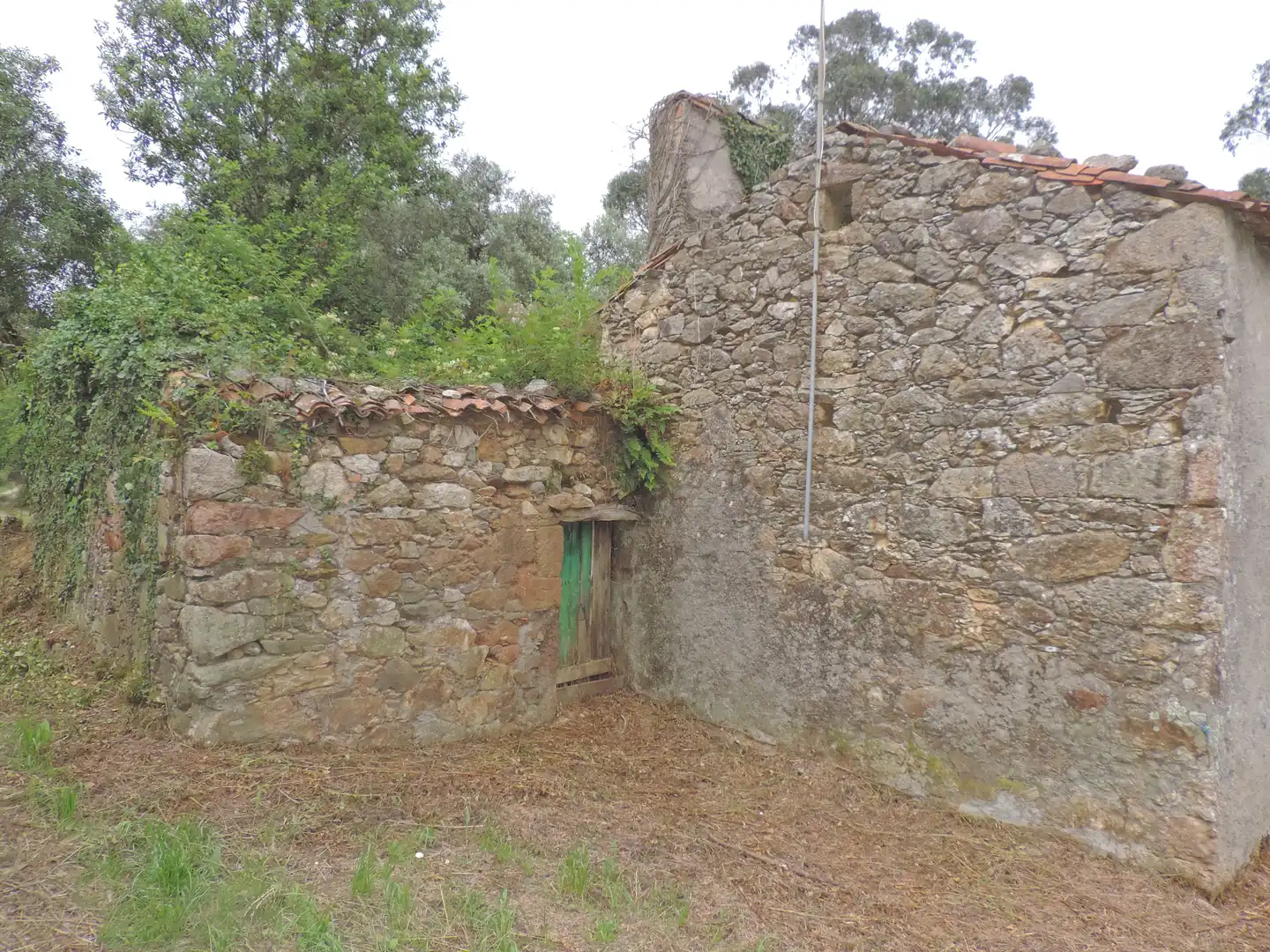 Vista exterior de Casa o chalet en venta en A Laracha   con Jardín privado