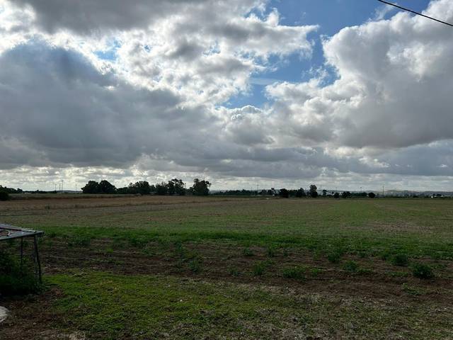 Finca rústica en Venta en Pozoalbero