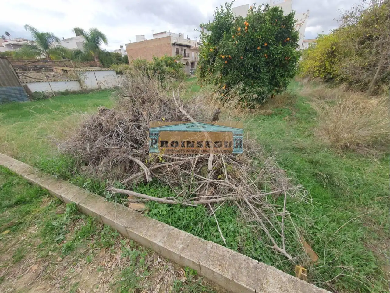 Terreno rustico in vendita a Centro, imagen 3