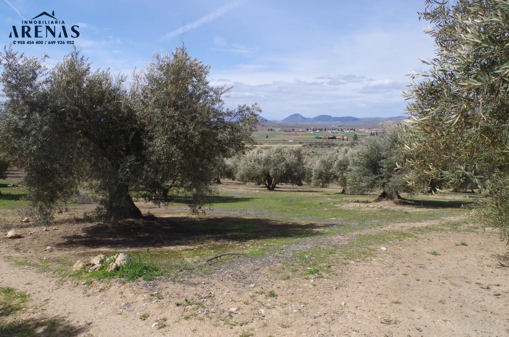 Residential land for sale in Íllora, imagen 6