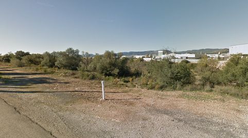 PEQUEÑA EXPLOTACIÓN AGRÍCOLA Y RECREO, immagine 4