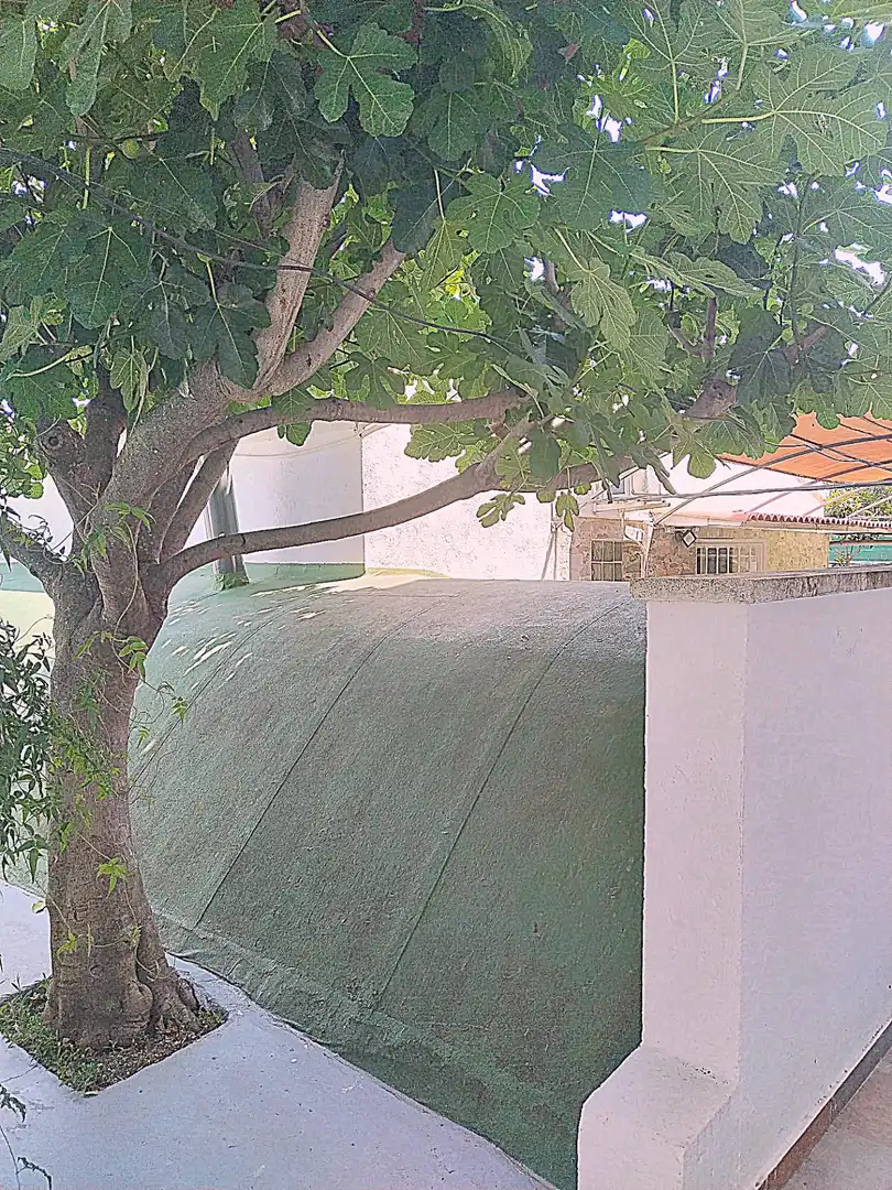 Jardín de Casa o chalet en venta en Arganda del Rey con Aire acondicionado, Calefacción y Jardín privado