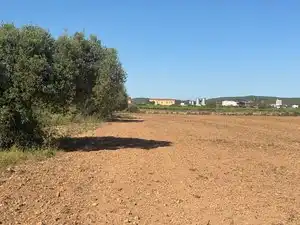Land for sale in Bellvei