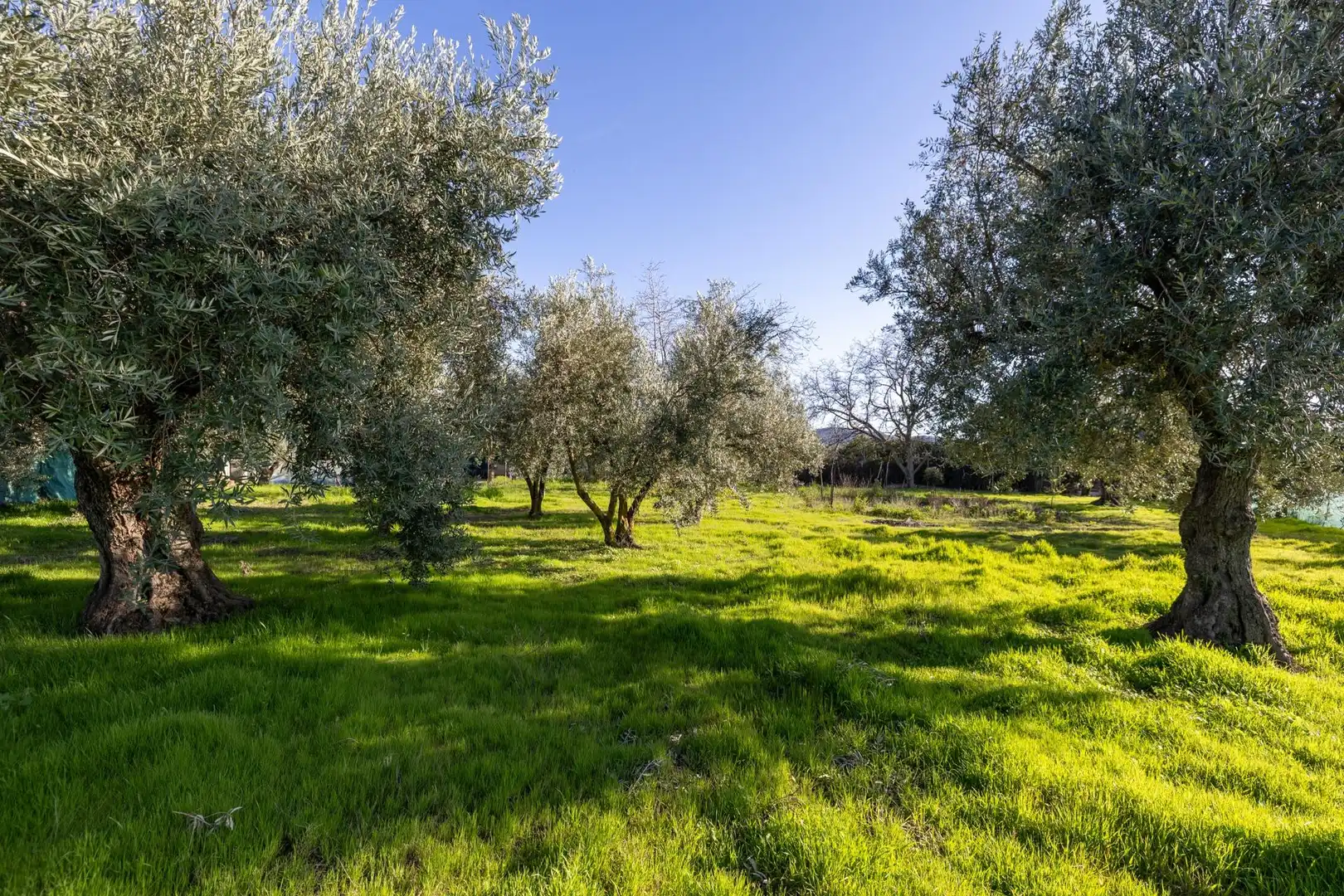 Country homes for sale in Villa de Otura  with Storage room