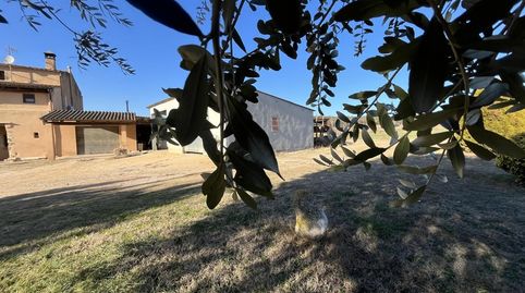 Foto 4 de Casa o chalet en venta en Diseminado Afores, 32, Sant Gregori, Girona