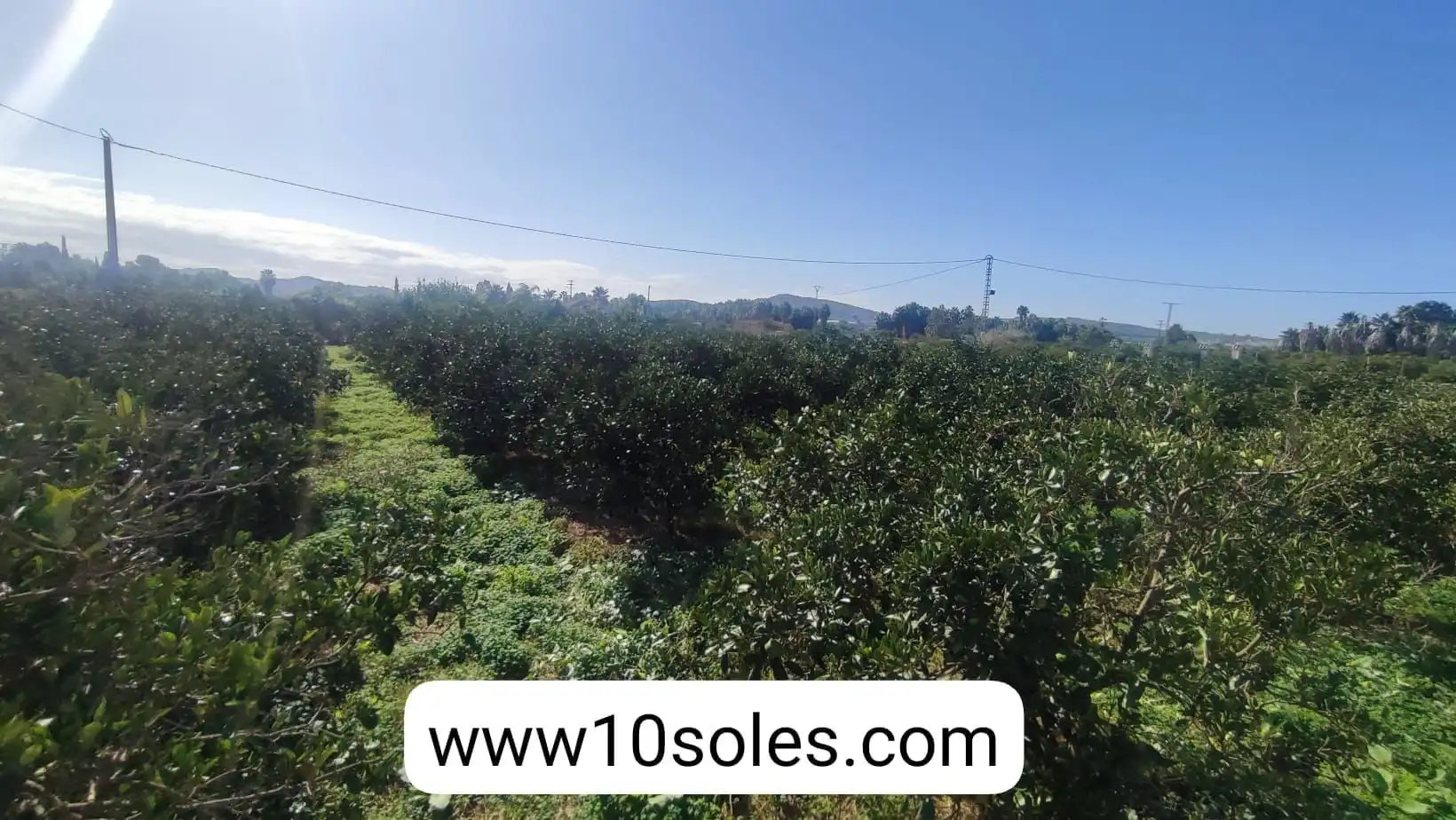 Terreno rustico in vendita a Jacarilla, imagen 9