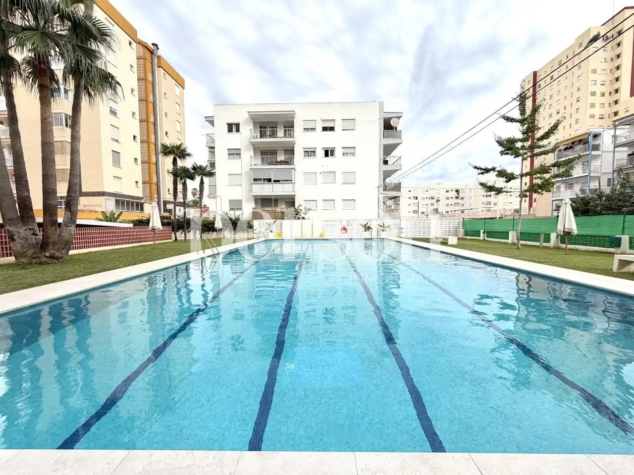 Swimming pool of Flat for rent in Playa de Gandia