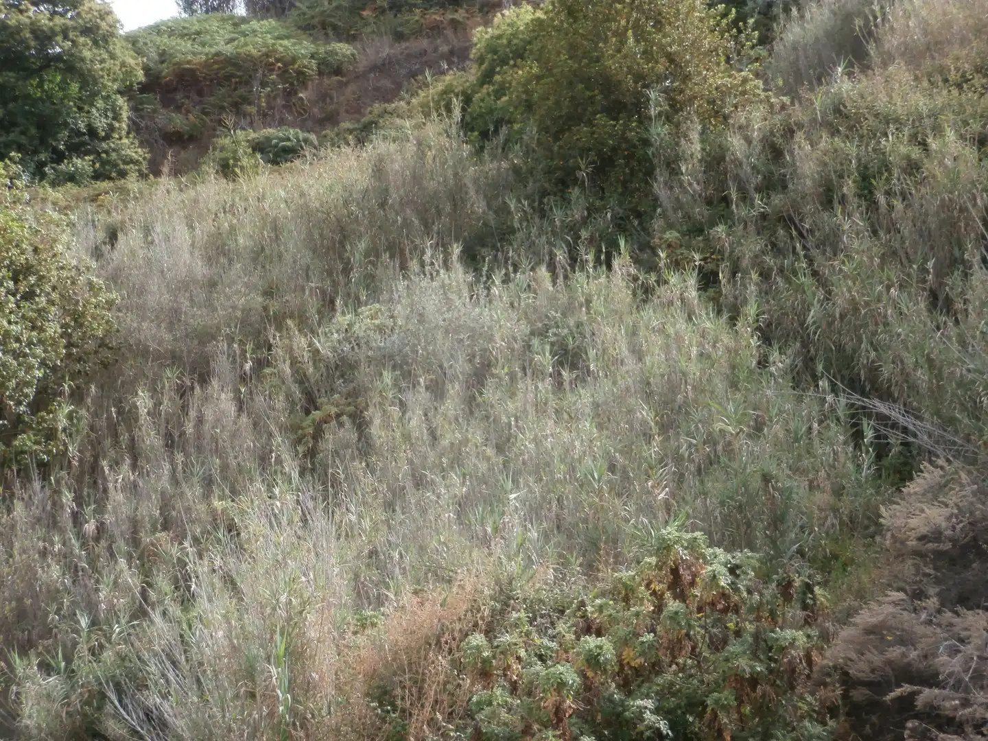 Finca rústica en venta en Camino Lomo el Marco, 41, Moya (Las Palmas)