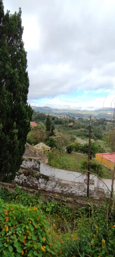 Vista exterior de Casa o xalet en venda en Santa Brígida amb Terrassa
