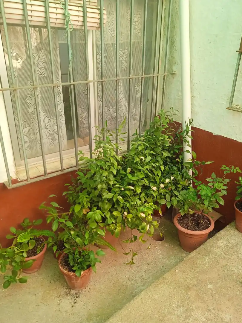 Casa o xalet en venda a Calle Reliquias, 82, Puebla del Maestre
