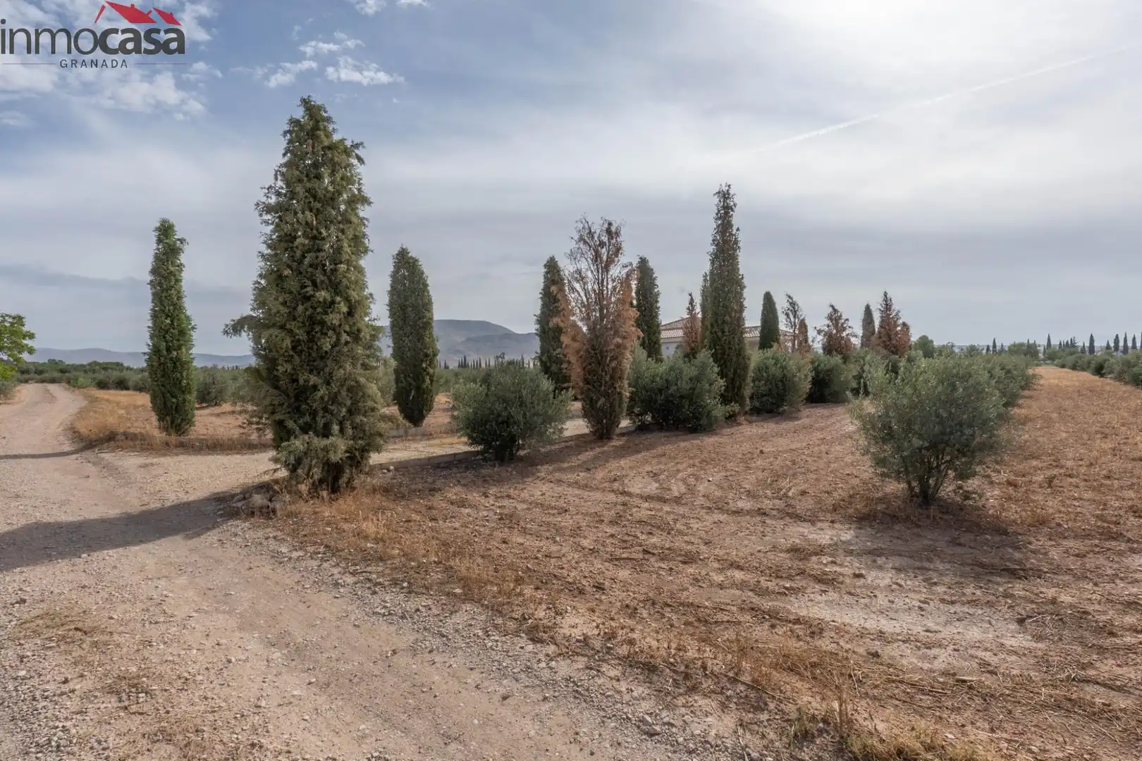 Casa o chalet en venta en Huéscar