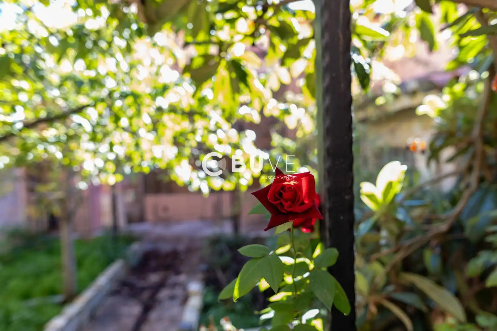 Jardín de Casa o chalet en venta en Albaladejo con Aire acondicionado, Calefacción y Parquet