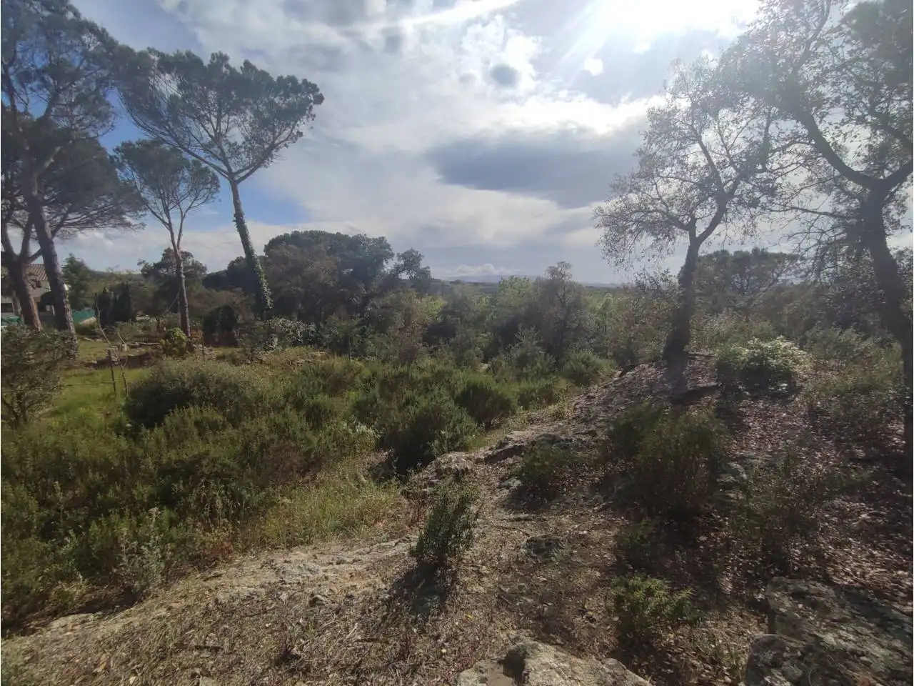 Terreny residencial en venda a Calle Pla de l´Estany, imagen 15