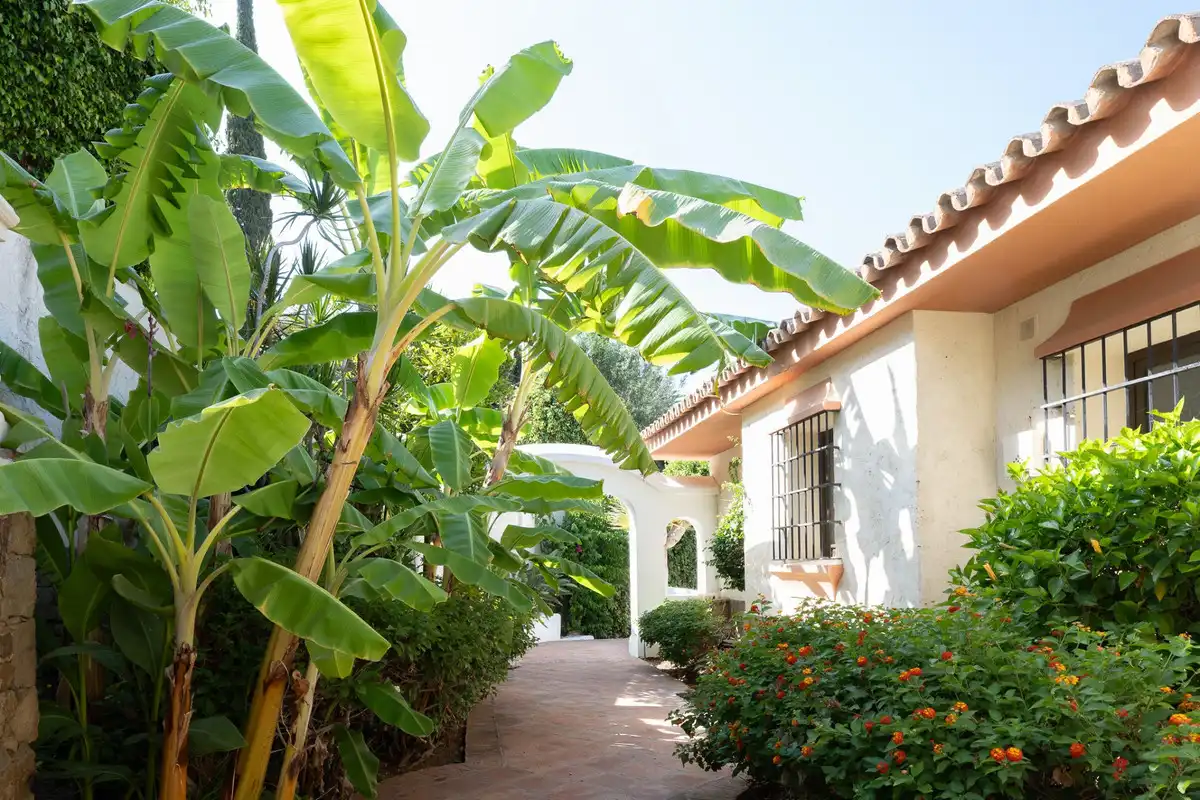 Vista exterior de Casa o chalet en venta en Marbella con Piscina