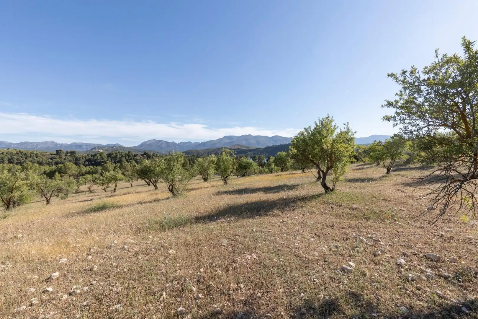 Casa rústica con terraza en venta en Calle GR-3307, Arenas del Rey, Granada GR-3307, imagen 52