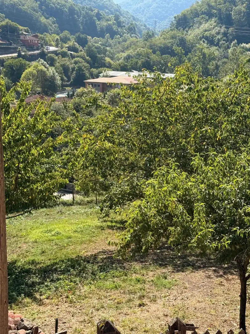 Maison jumelée avec jardin à vendre à Quirós, imagen 44