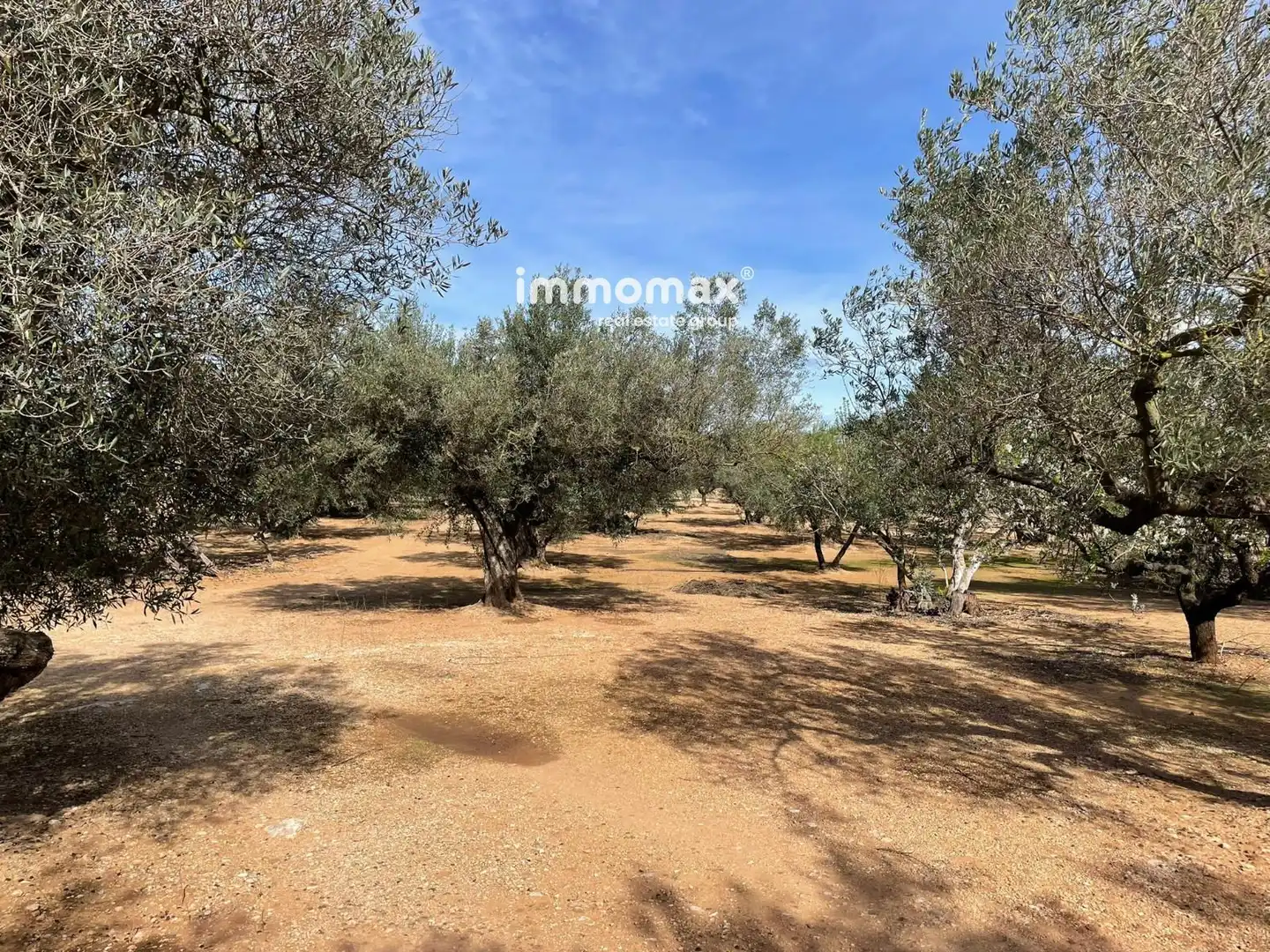 Residential land for sale in 10, imagen 24